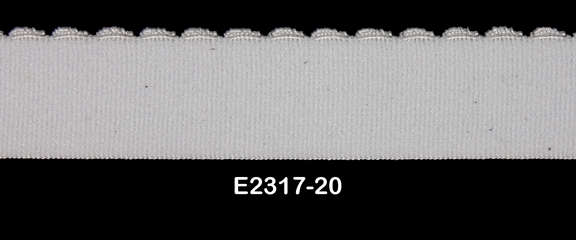 E2317-20