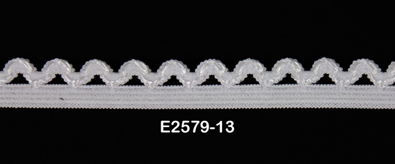 E2579-13