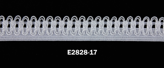 E2828-17